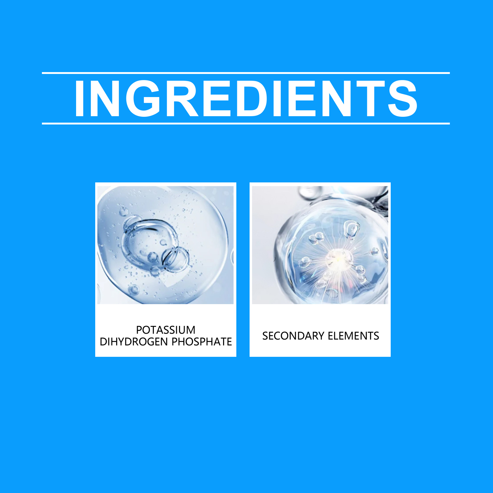 Flower Nutrient Solution Liqui - đánh giá và giá Nutrition & Fitness Hub